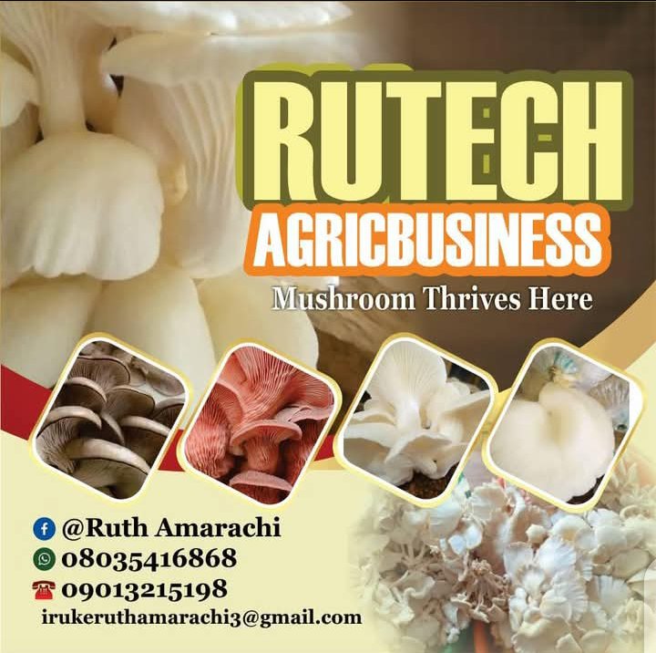 Rutech Agribusiness